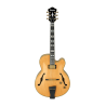 IBANEZ PM200NT Natural Guitare electrique avec valise