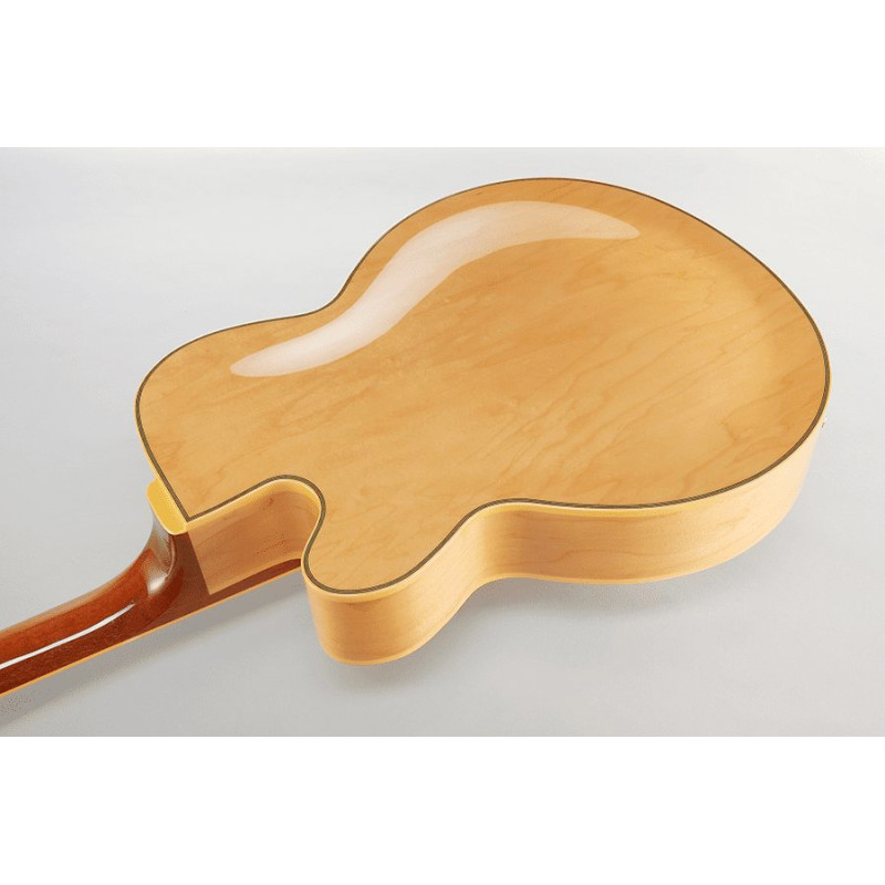 IBANEZ PM200NT Natural Guitare electrique avec valise