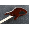 IBANEZ S621QMDEB Dragon Eye Burst Guitare electrique