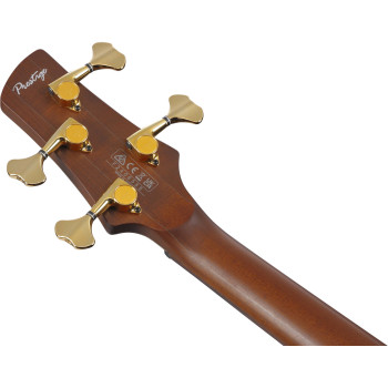 IBANEZ SR5500 MHF Mocha Flat basse electrique avec valise