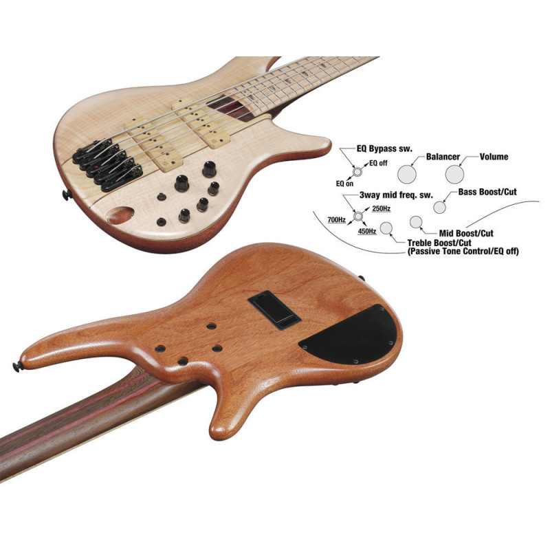 IBANEZ SR5FMDX2 NTL Natural Low Gloss basse 5c. avec housse