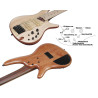 IBANEZ SR5FMDX2 NTL Natural Low Gloss basse 5c. avec housse