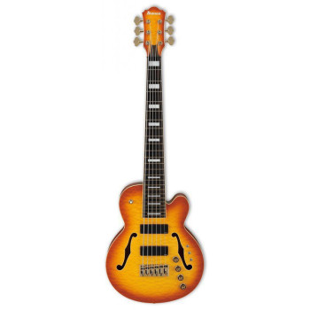 IBANEZ TCB1006ALM Autumn Leaf Burst Matte basse electrique avec valise