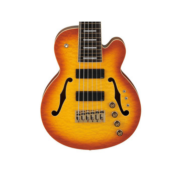 IBANEZ TCB1006ALM Autumn Leaf Burst Matte basse electrique avec valise