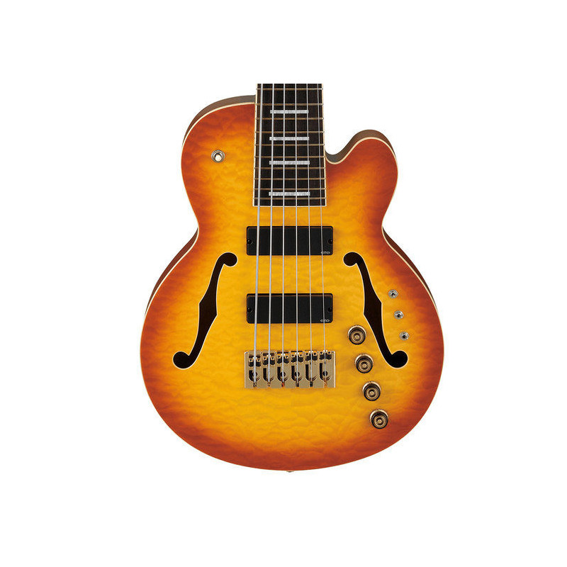 IBANEZ TCB1006ALM Autumn Leaf Burst Matte basse electrique avec valise
