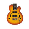 IBANEZ TCB1006ALM Autumn Leaf Burst Matte basse electrique avec valise