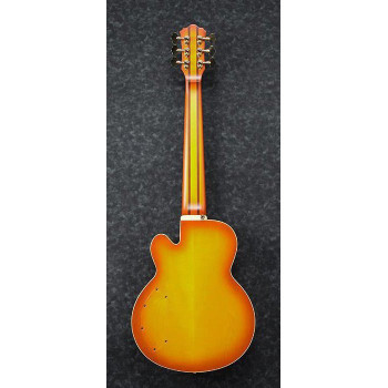 IBANEZ TCB1006ALM Autumn Leaf Burst Matte basse electrique avec valise
