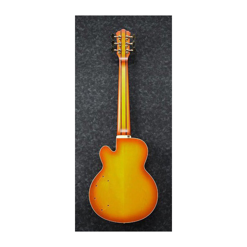 IBANEZ TCB1006ALM Autumn Leaf Burst Matte basse electrique avec valise