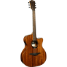 LAG T98ACE auditorium cutaway electro