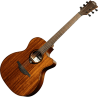 LAG T98ACE auditorium cutaway electro