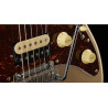 LARRY CARLTON S7 CGM DC MN Champagne Metal Gold