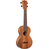 MARTIN 2KC guitare acoustique 2kc koa