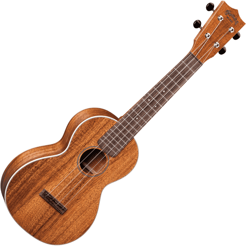MARTIN 2KC guitare acoustique 2kc koa