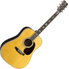 MARTIN D-41 guitare acoustique d-41