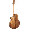 MARTIN SC-13E guitare acoustique sc-13e