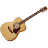 MATON EBG808TE Tommy Emmanuel