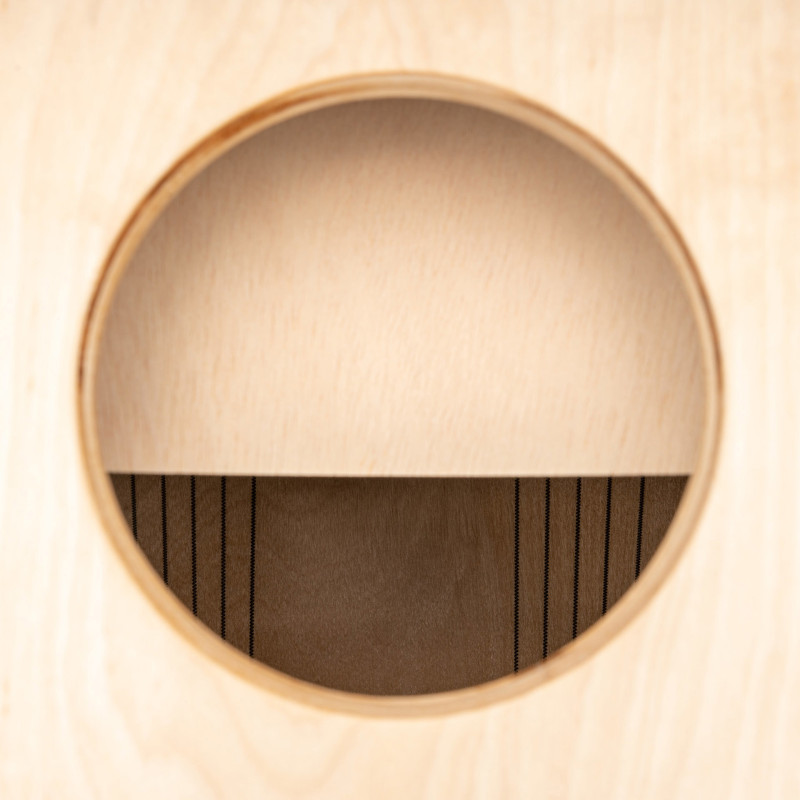 MEINL AESLEYB cajon meinl artisan solea
