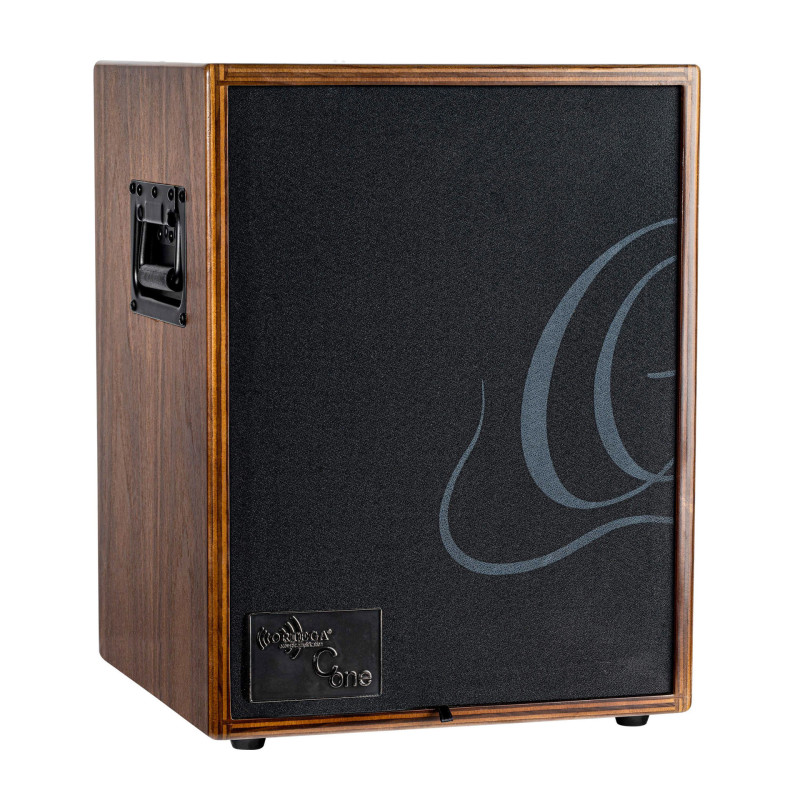 ORTEGA CONE-WND ampli ortega 100w, 2 canaux, rev/chorus
