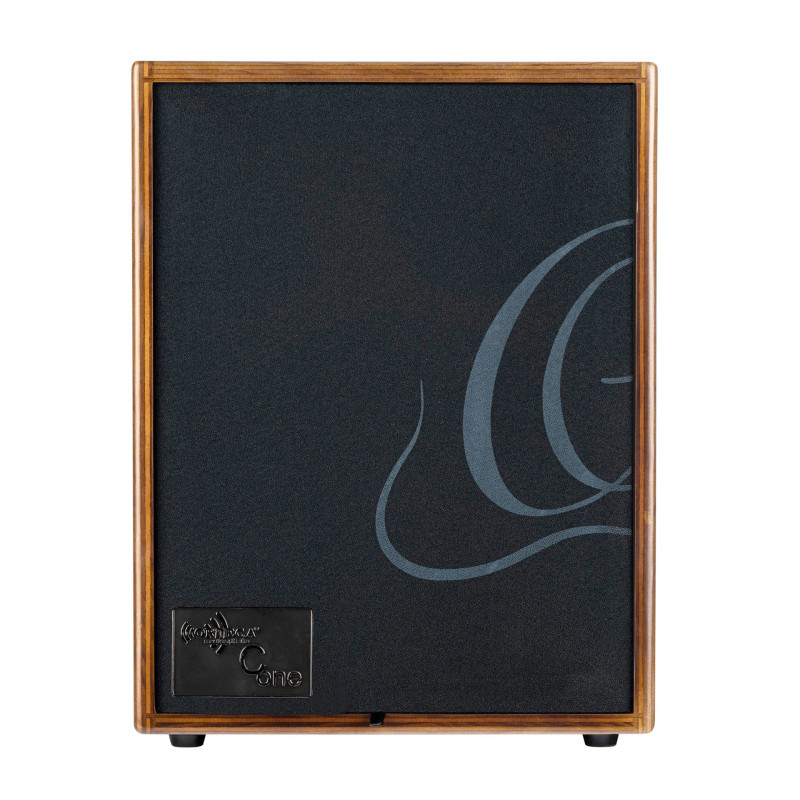 ORTEGA CONE-WND ampli ortega 100w, 2 canaux, rev/chorus