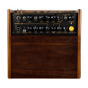 ORTEGA CONE-WND ampli ortega 100w, 2 canaux, rev/chorus