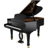 PLEYEL F170-BLK f170 noir brillant