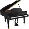 PLEYEL F170-BLK f170 noir brillant