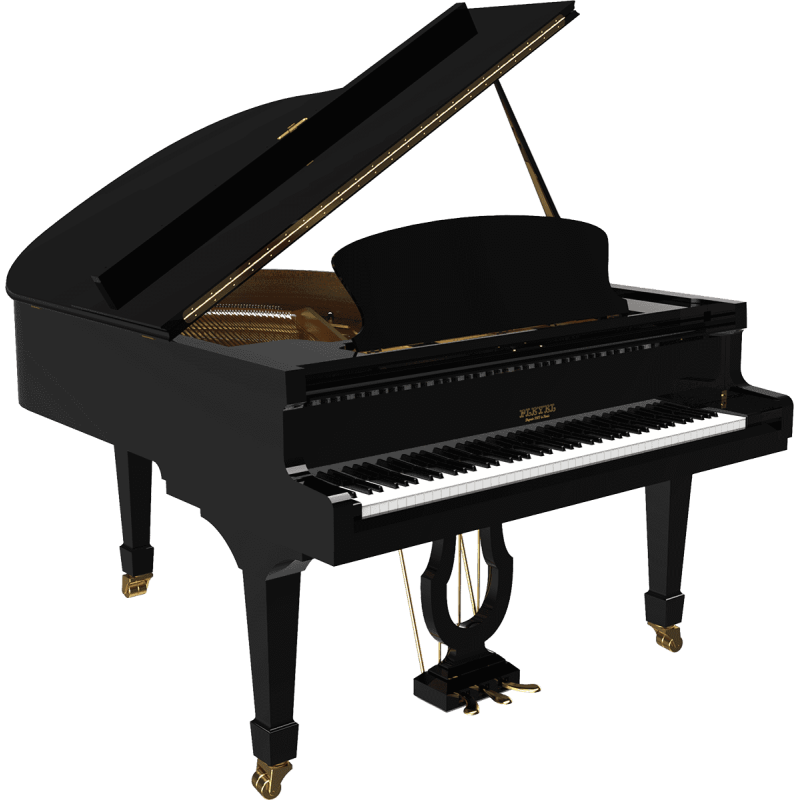 PLEYEL F170-BLK f170 noir brillant