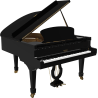 PLEYEL F170-BLK f170 noir brillant
