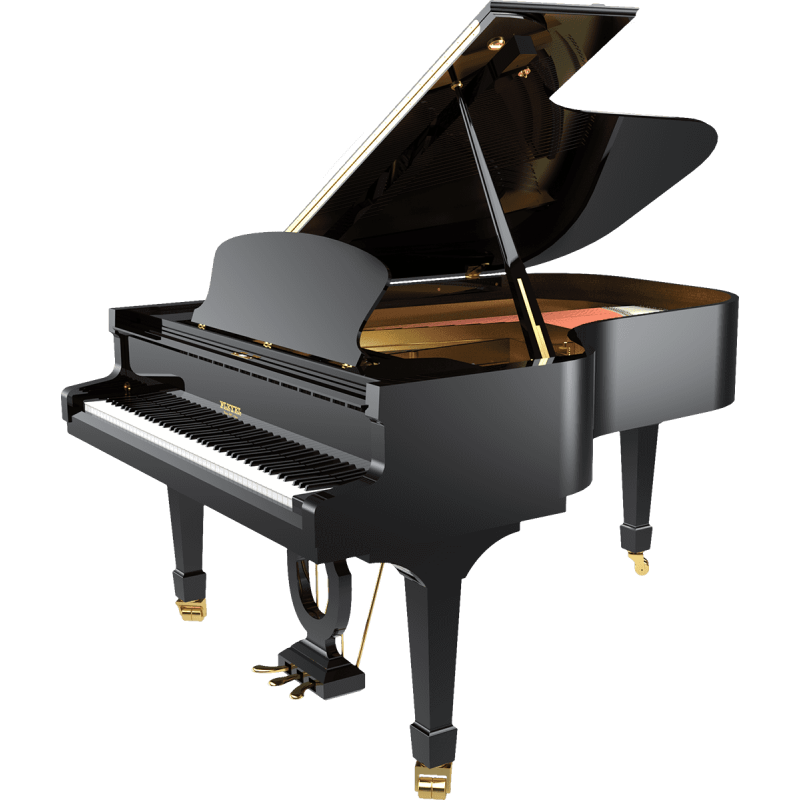 PLEYEL F190-BLK f190 noir brillant