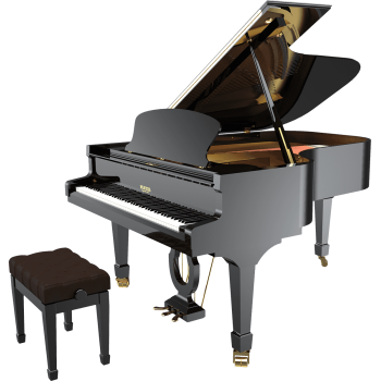 PLEYEL F190-BLK f190 noir brillant