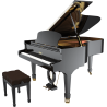PLEYEL F190-BLK f190 noir brillant