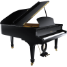 PLEYEL F190-BLK f190 noir brillant