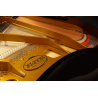 PLEYEL P170-BLK p170 noir brillant