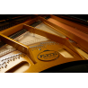 PLEYEL P170-BLK p170 noir brillant
