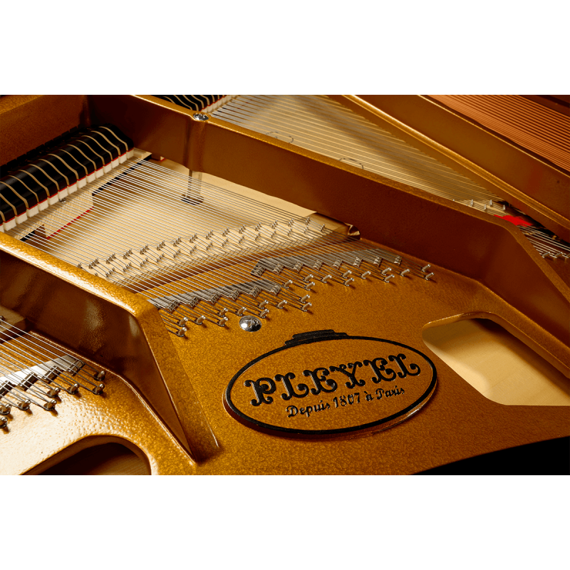 PLEYEL P170-BLK p170 noir brillant