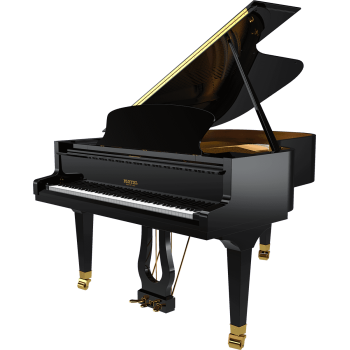PLEYEL P190-BLK p190 noir brillant