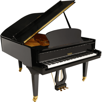 PLEYEL P190-BLK p190 noir brillant