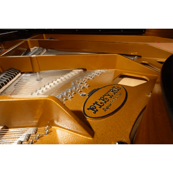 PLEYEL P190-BLK p190 noir brillant