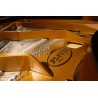 PLEYEL P190-BLK p190 noir brillant
