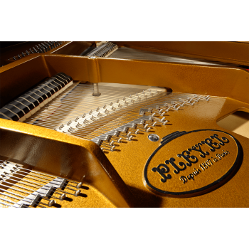 PLEYEL P190-BLK p190 noir brillant