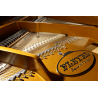 PLEYEL P190-BLK p190 noir brillant