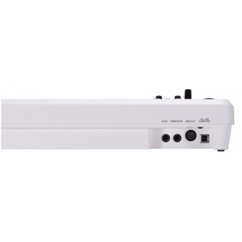ROLAND A-49-WH lightweight 49 key controller avec supernatural mode (wht)