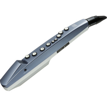 ROLAND AE-01 aerophone mini