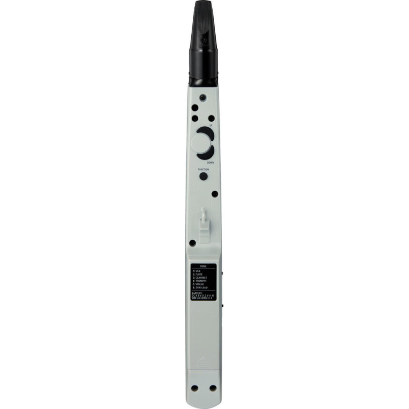 ROLAND AE-01 aerophone mini