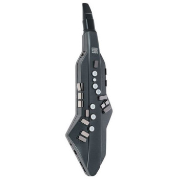 ROLAND AE-05 aerophone::go