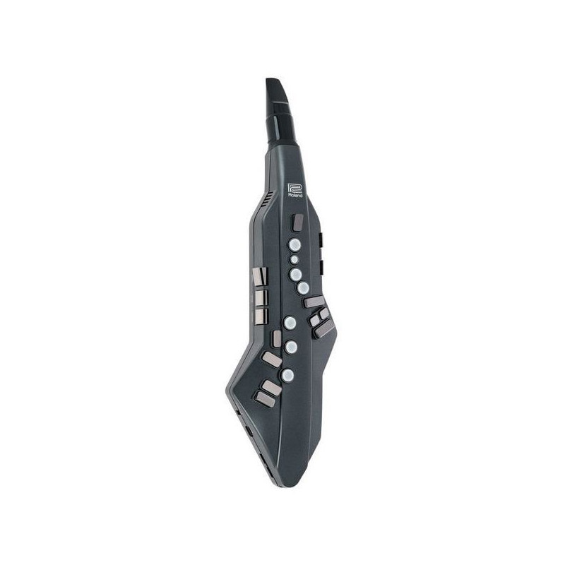 ROLAND AE-05 aerophone::go