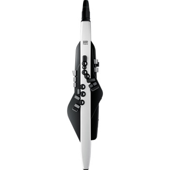 ROLAND AE-20 aerophone digital wind instrument