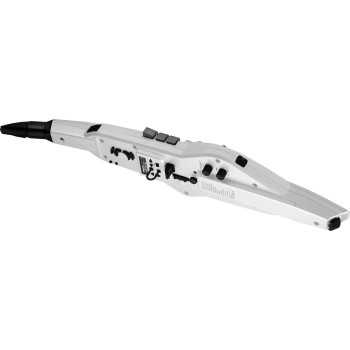 ROLAND AE-20 aerophone digital wind instrument