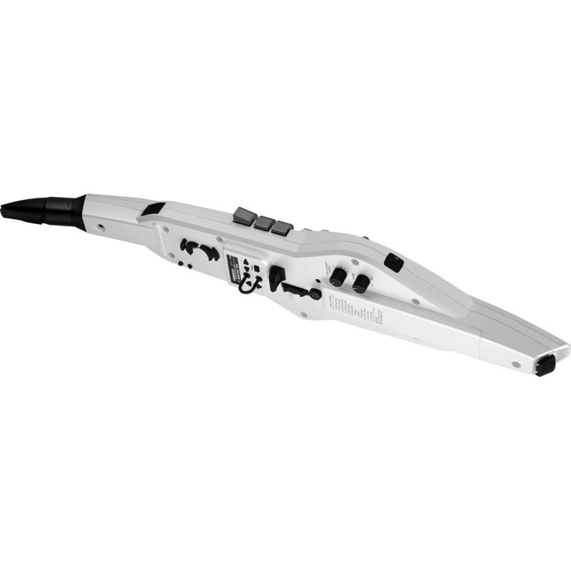 ROLAND AE-20 aerophone digital wind instrument
