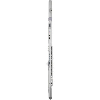 ROLAND AE-BRISA aerophone digital wind instrument